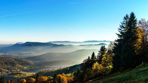 Aerial view of colorful autumnal mountains, foggy sunset