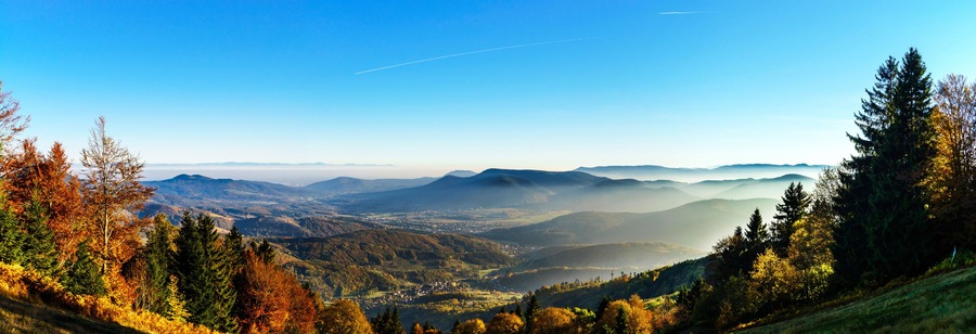 Aerial view of colorful autumnal mountains, foggy sunset