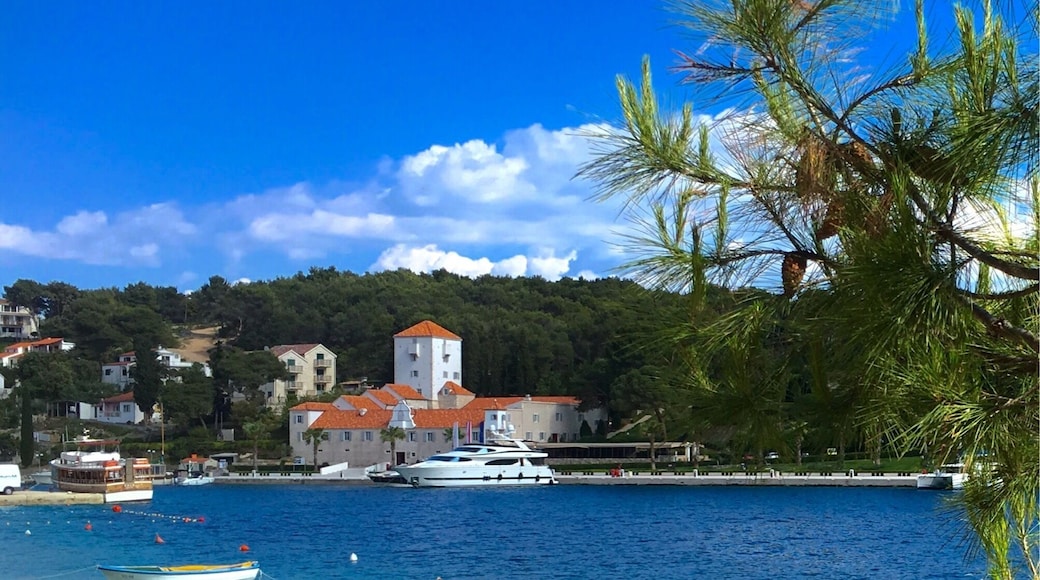 At Maslinica, Šolta island, Dalmatia