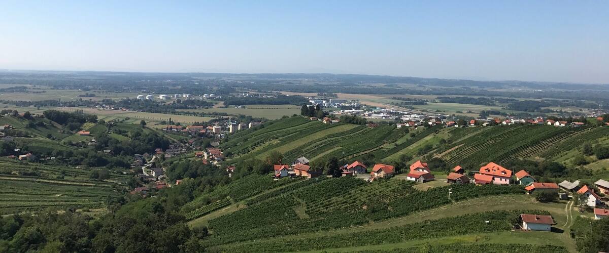 A rural landscape with rolling hills, vineyards, and scattered houses with red roofs.