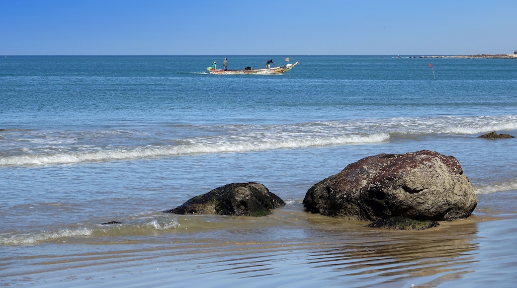 Arrivée des pêcheurs sur une plage de la Somone au Sénégal
