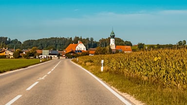 Beautiful autumn or indian summer view near the famous Waginger See, Waging, Bavaria, Germany