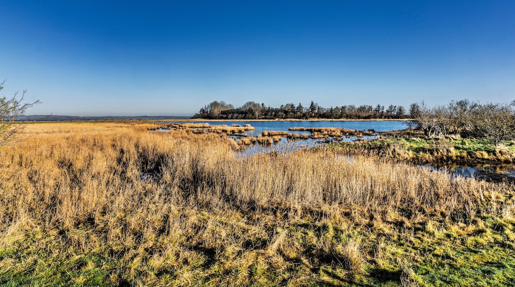 Idyllic Fjord Scene with Small Boat During a Sunny Day, Borre Knob, Denmark