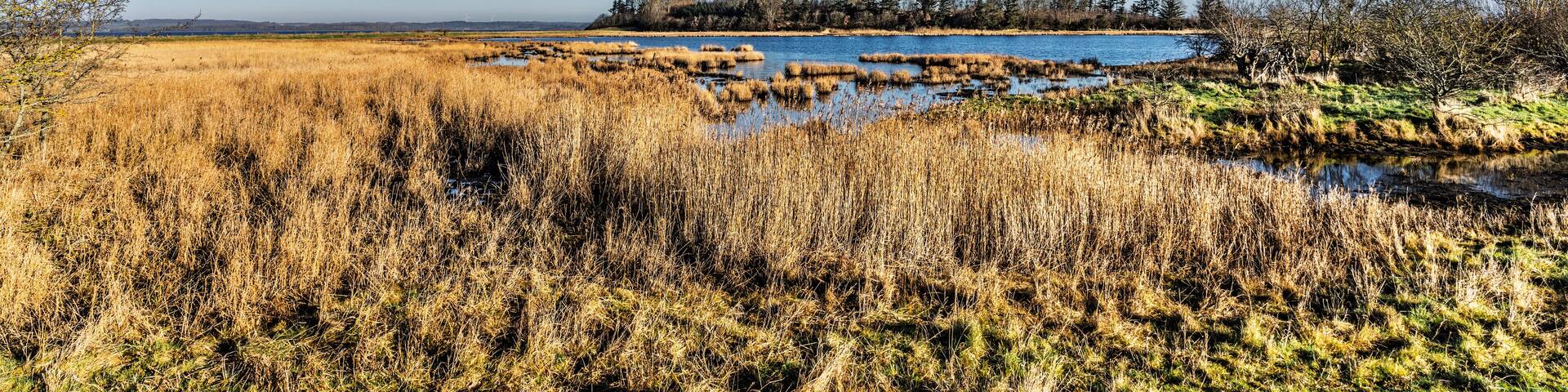 Idyllic Fjord Scene with Small Boat During a Sunny Day, Borre Knob, Denmark