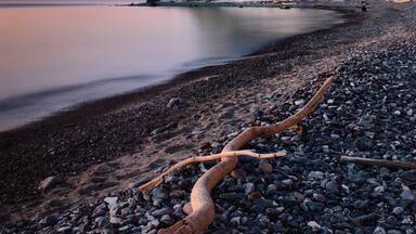 A pebbled beach with a large fallen tree trunk, calm water, and a rocky cliff in the background.