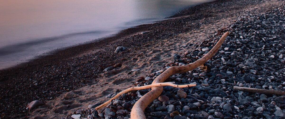 A pebbled beach with a large fallen tree trunk, calm water, and a rocky cliff in the background.
