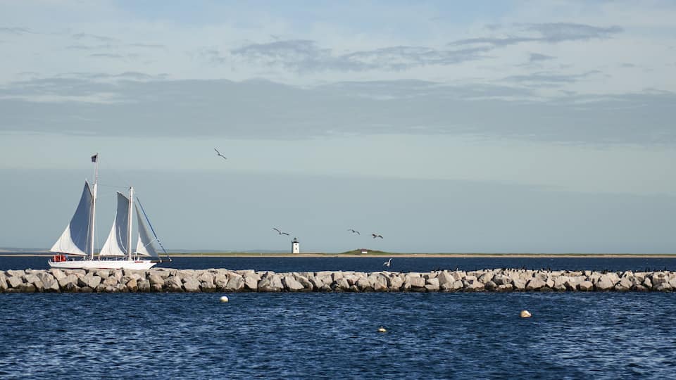 A sailboat on a calm sea, a lighthouse, and a rocky breakwater.