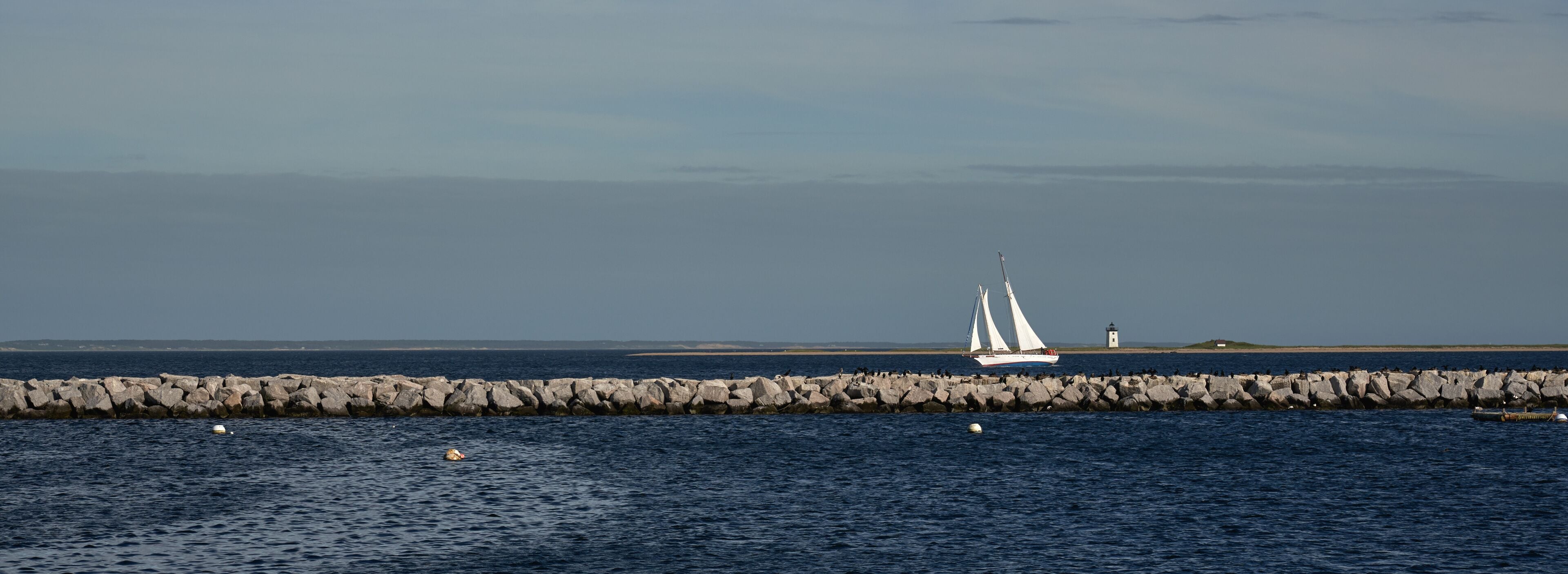 Sailboat and the Long Point Light Station in the distance panoramic view with many birds on the breakwater between