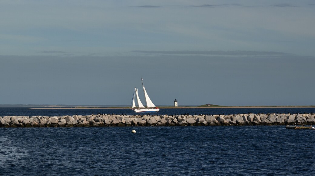 Sailboat and the Long Point Light Station in the distance panoramic view with many birds on the breakwater between