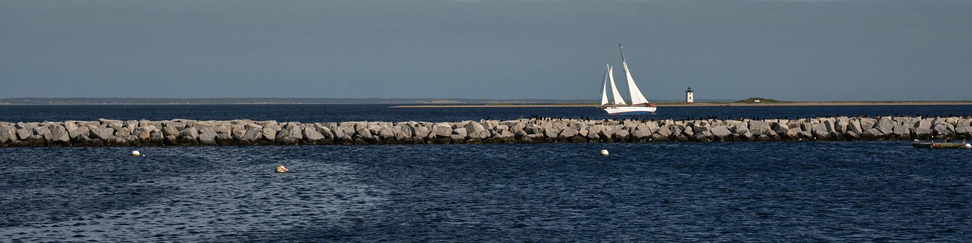 Sailboat and the Long Point Light Station in the distance panoramic view with many birds on the breakwater between