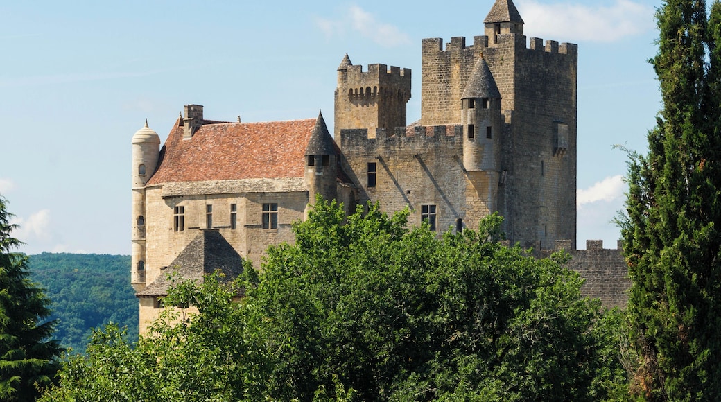 Château de Beynac, Dordogne, France.