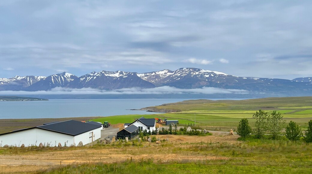 Dalvík