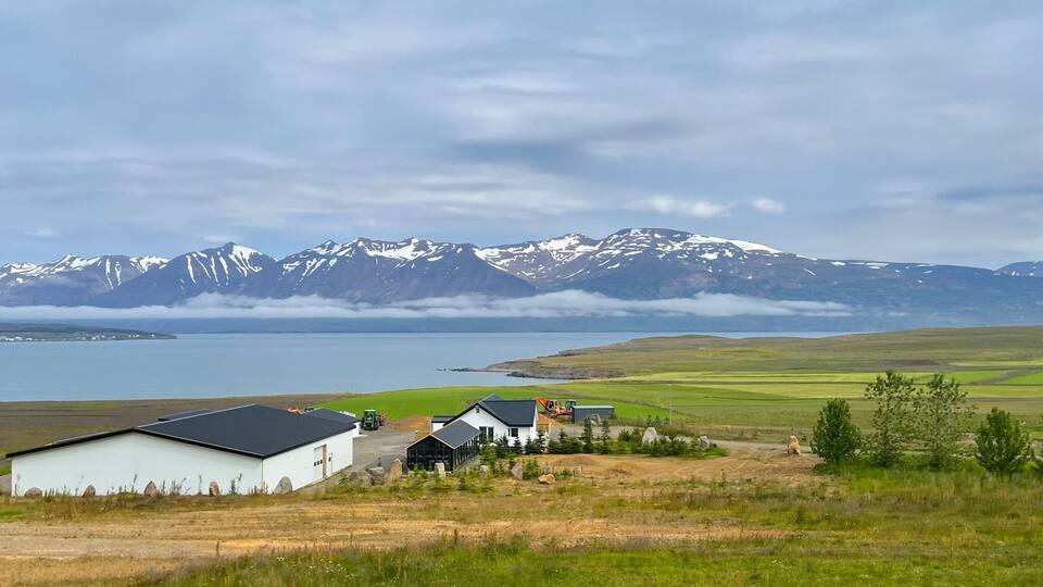 A coastal landscape with a white building, a green tractor, and a red barn.