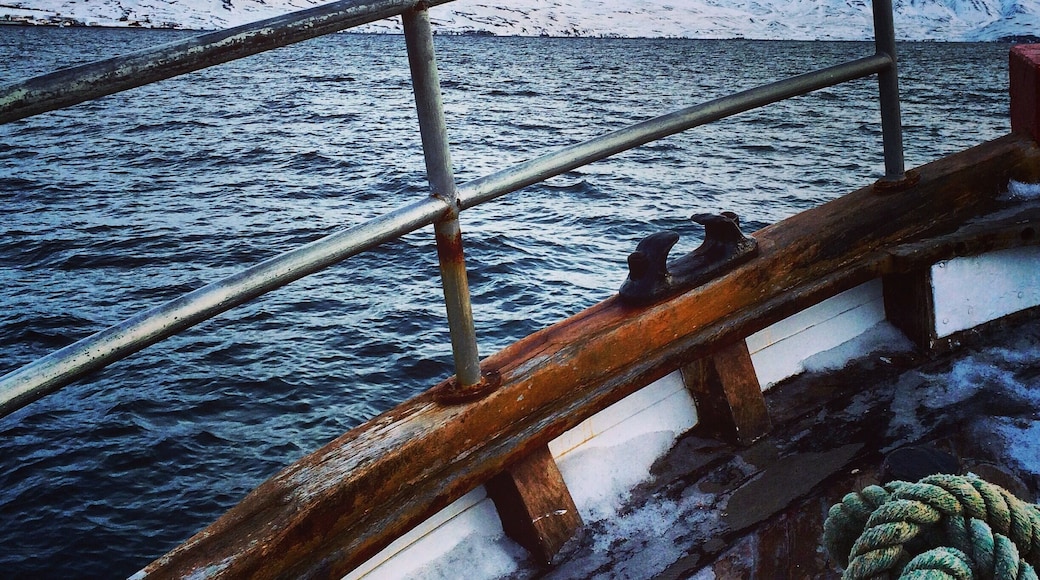 Dalvik is a great little fishing village 30 minutes outside of Akureyri. Our guide was extremely knowledgeable and even though we only saw one dolphin we had a great time. Going during the winter is a bit rough, be sure to bring lots of layers and hand warmers/feet warmers are a great idea! They gave us coveralls to wear which were extremely helpful and near the end we got hot chocolate and cookies. The last 20 minutes he let us fish and we caught 2 cod, which he grilled up for us back at the harbor. It was delicious!! The sights and views were amazing from within the fjord and I look forward to posting the pictures from my camera once I get back to the states!