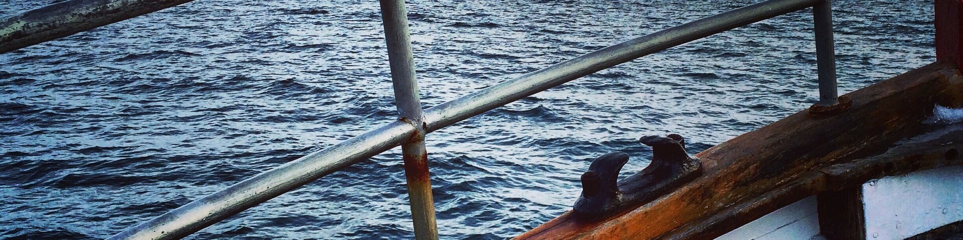 Cubierta de barco con barandillas metálicas y una cuerda, frente a una cadena montañosa nevada a través de una masa de agua.
