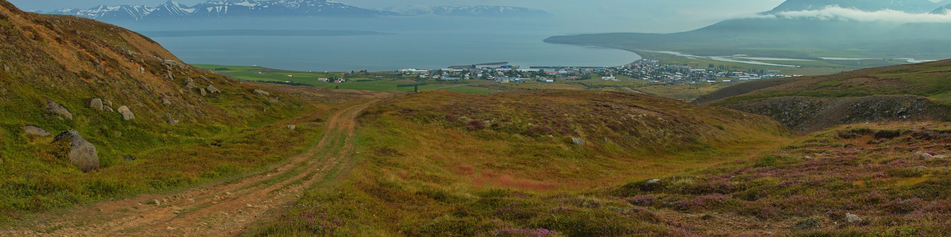 View of Dalvik from the hiking track at the river Svarfadardalsa, Iceland, Europe