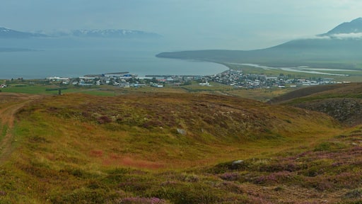 Dalvik