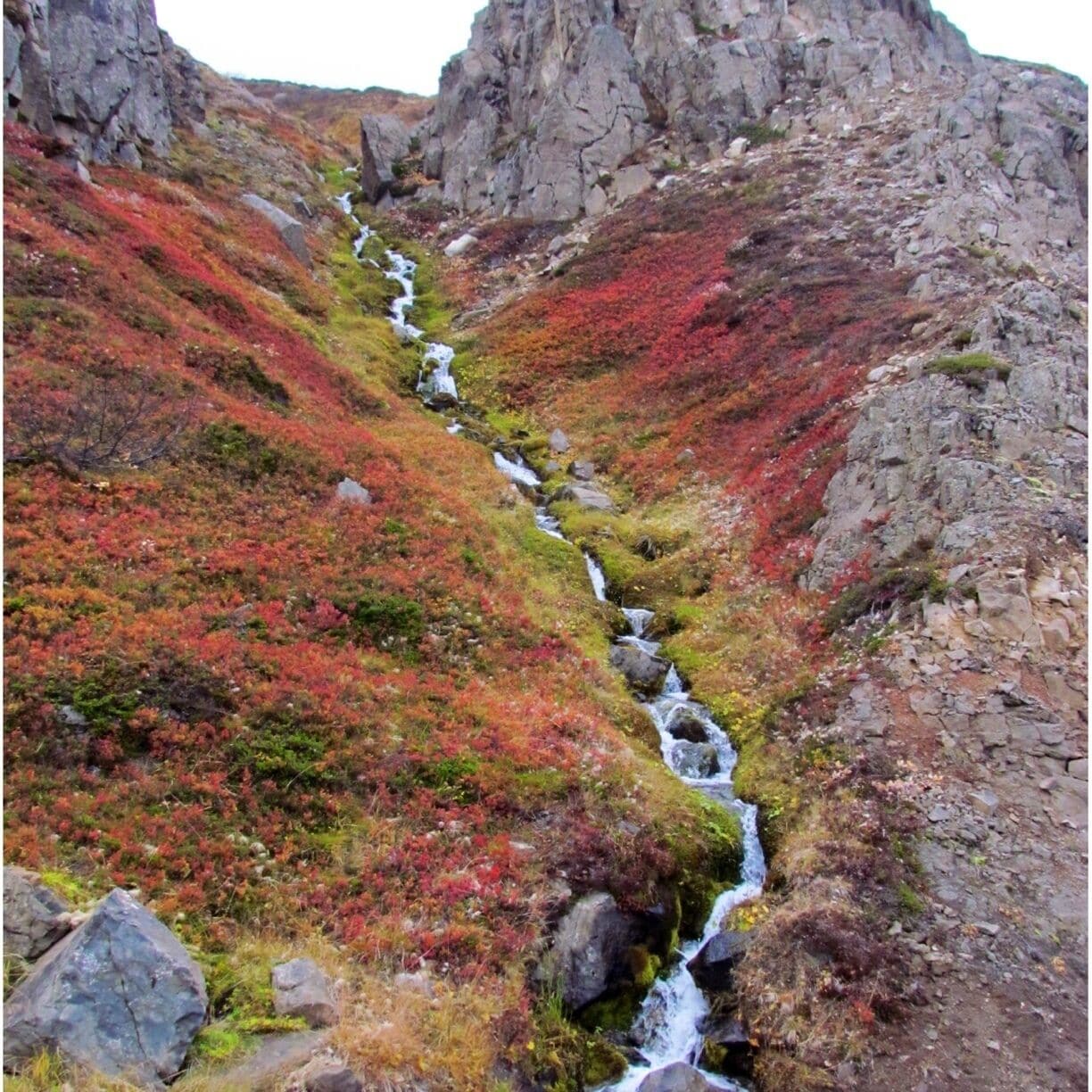 Stream coming off the mountain. Near Dalvik, Iceland