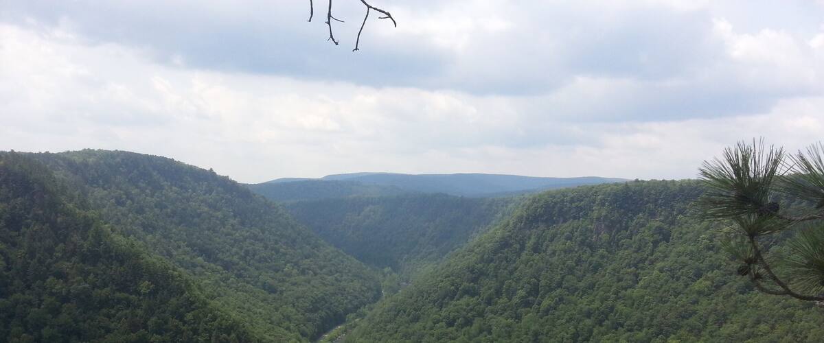 A valley with dense forest and a winding road.