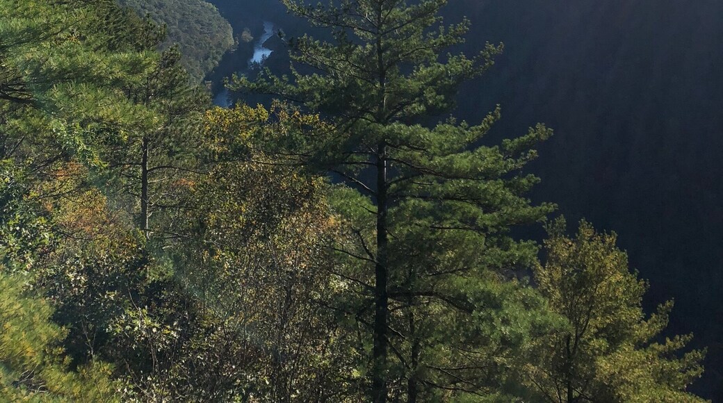 The PA Grand Canyon is a few miles from Wellsboro, PA.
It is a beautiful place anytime of the year and in any type of weather.