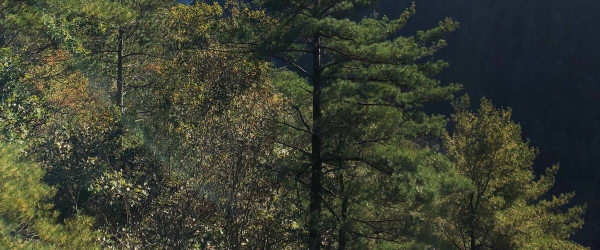 The PA Grand Canyon is a few miles from Wellsboro, PA.
It is a beautiful place anytime of the year and in any type of weather.