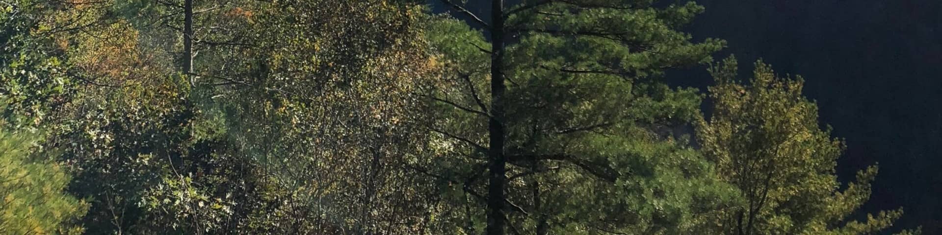 The PA Grand Canyon is a few miles from Wellsboro, PA.
It is a beautiful place anytime of the year and in any type of weather.