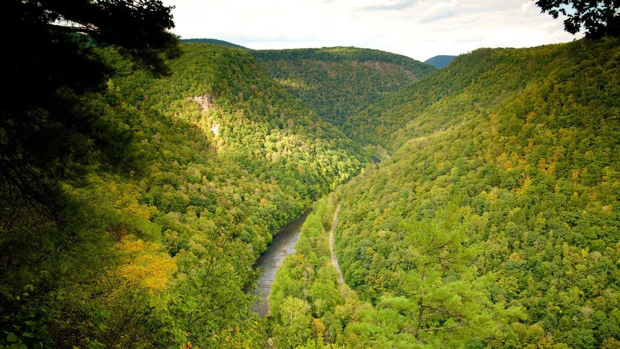 Erie showing forests and a gorge or canyon
