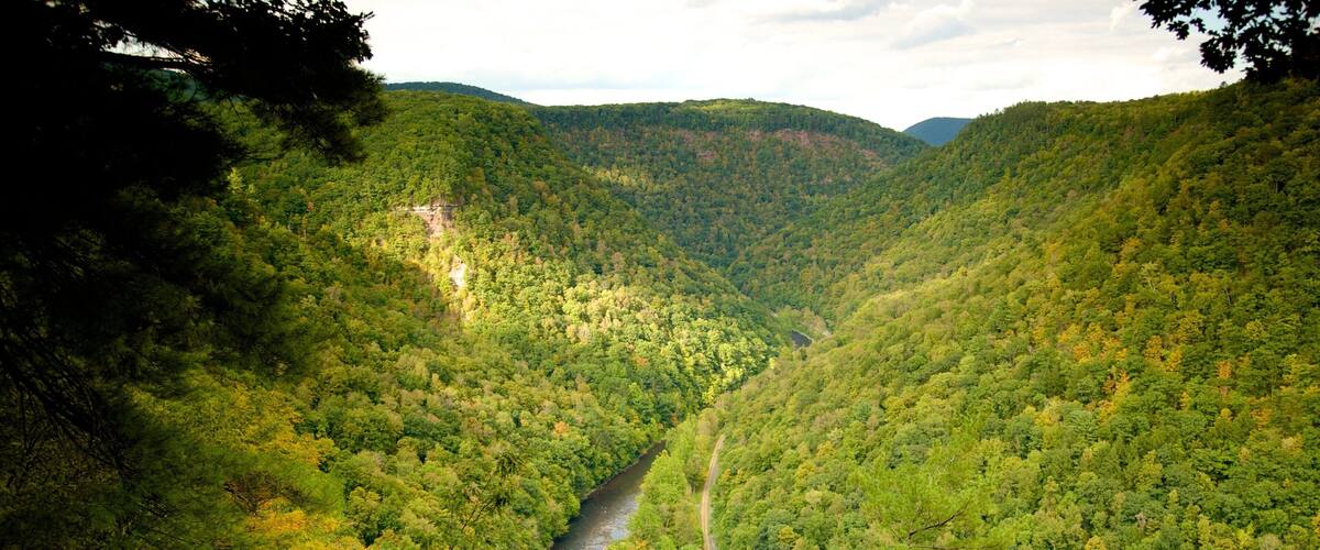 A river winding through a dense forest with hills in the background.