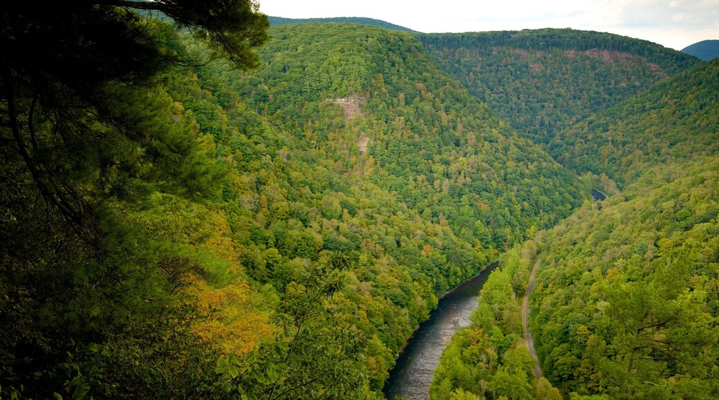Pine Creek Gorge which includes landscape views, a river or creek and tranquil scenes
