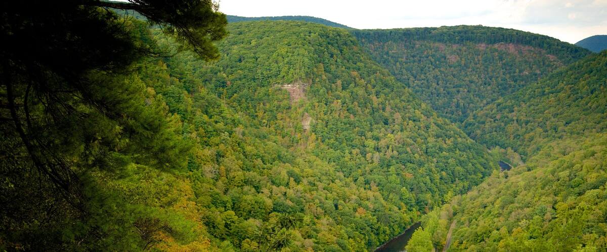 Ein Fluss schlängelt sich durch ein dicht bewaldetes Tal mit Hügeln im Hintergrund.