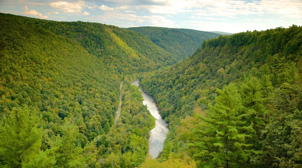 Erie bevat een kloof of ravijn en bossen