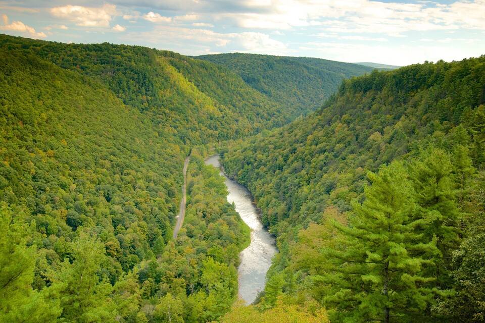A river winding through a dense forested valley with steep hills.