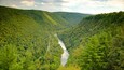 Pine Creek Gorge