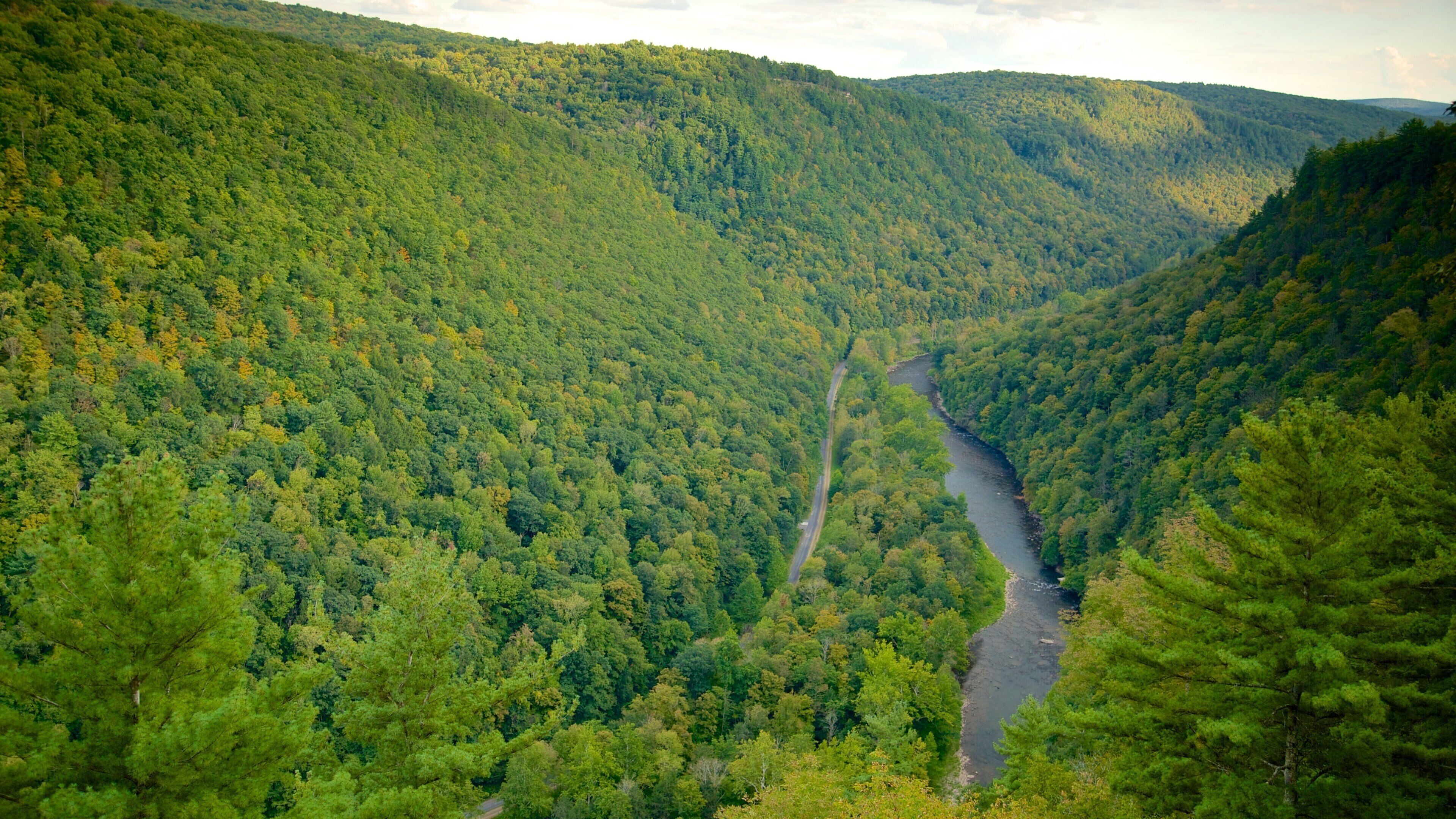 Pine Creek Gorge which includes a river or creek, tranquil scenes and landscape views