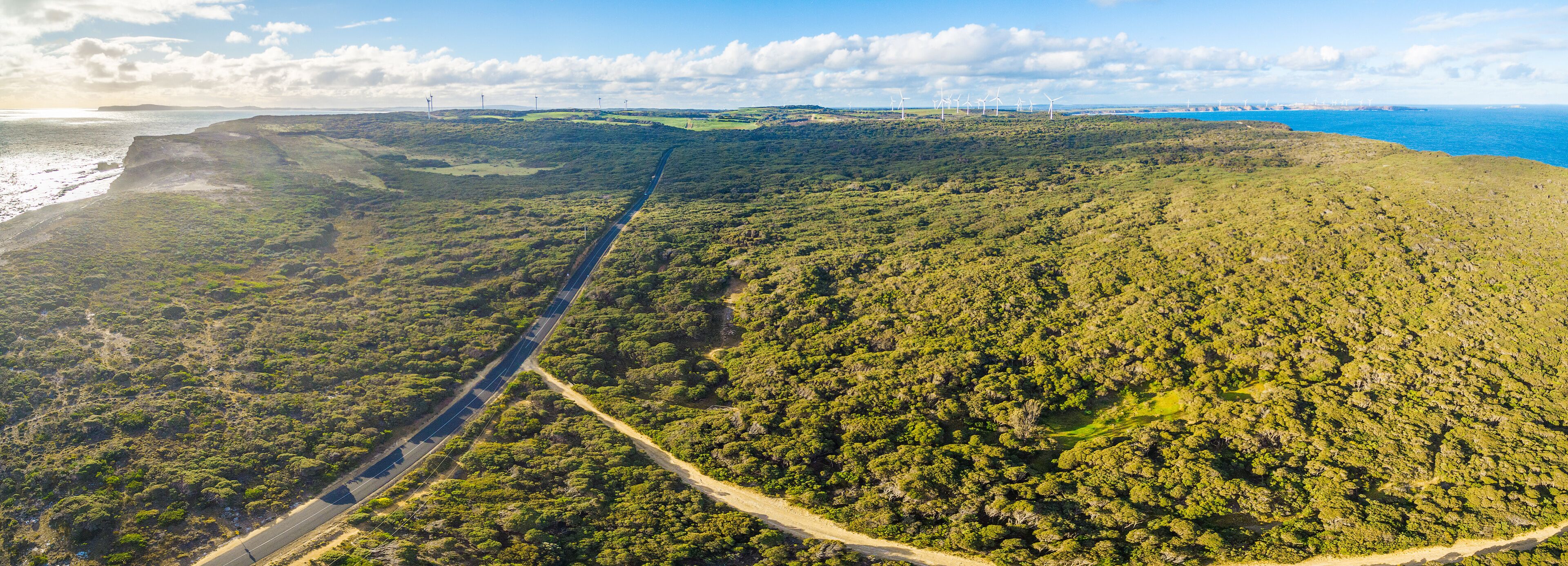 A coastal landscape with dense forest, a winding road, and wind turbines in the distance.