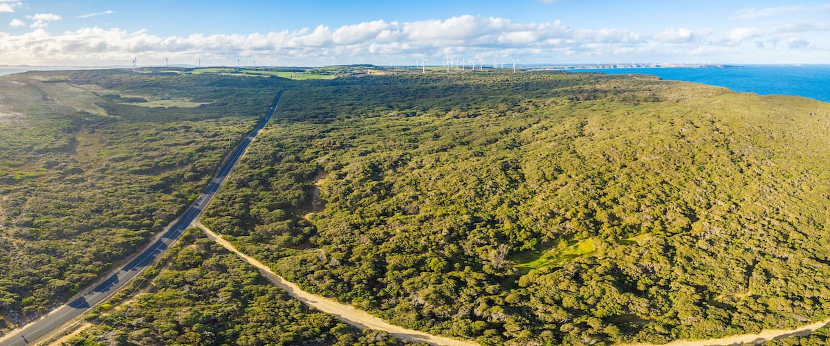 A coastal landscape with dense forest, a winding road, and wind turbines in the distance.