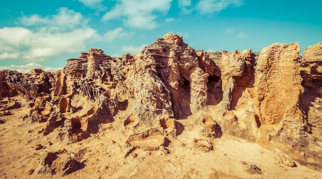 Petrified forest rock formations in Cape Bridgewater, Victoria, Australia, Shutterstock ID 737445979, Purchase Order: -