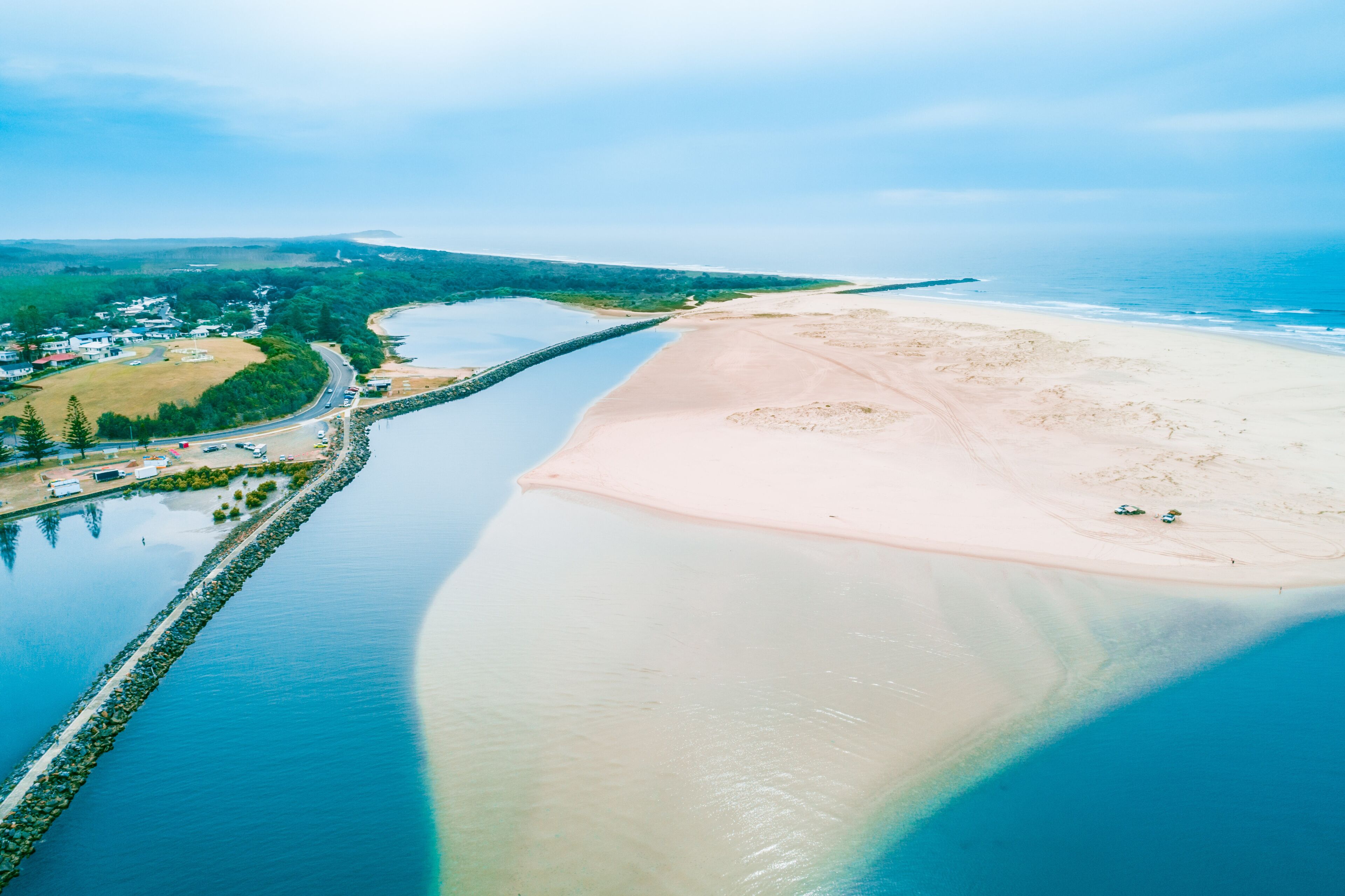 Taree