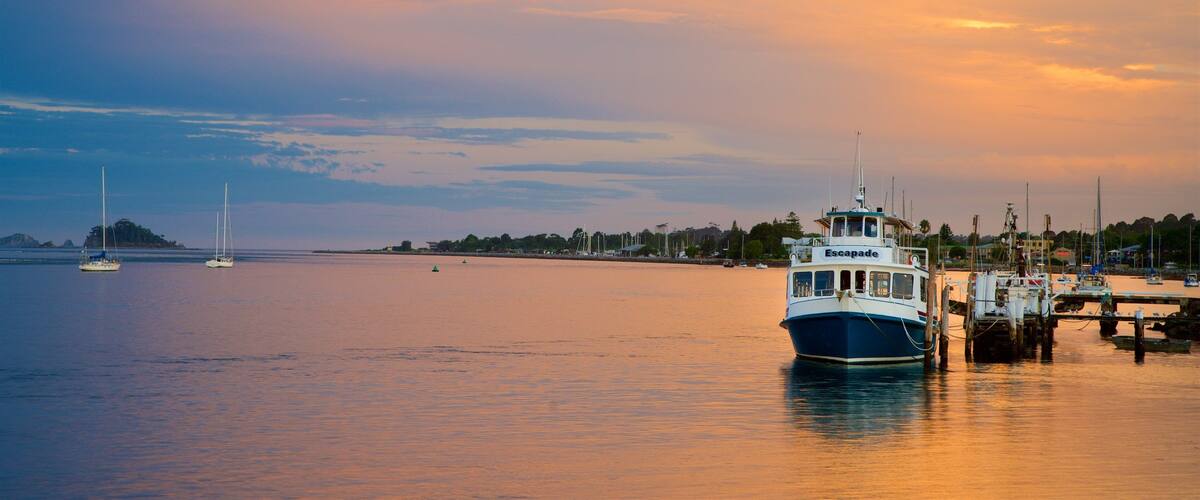 Batemans Bay showing general coastal views, a sunset and a marina