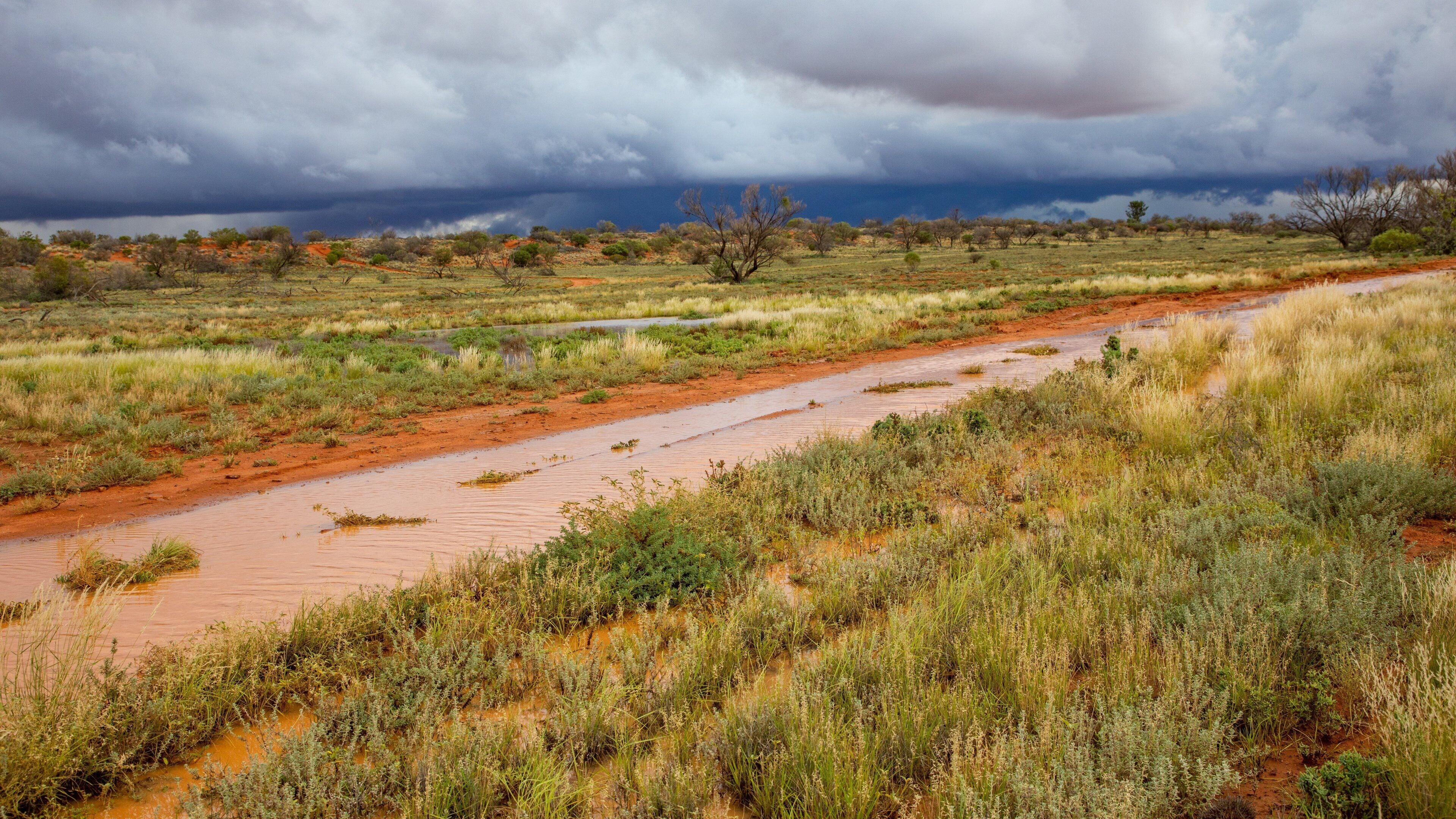 A muddy riverbed with sparse vegetation and a cloudy sky.