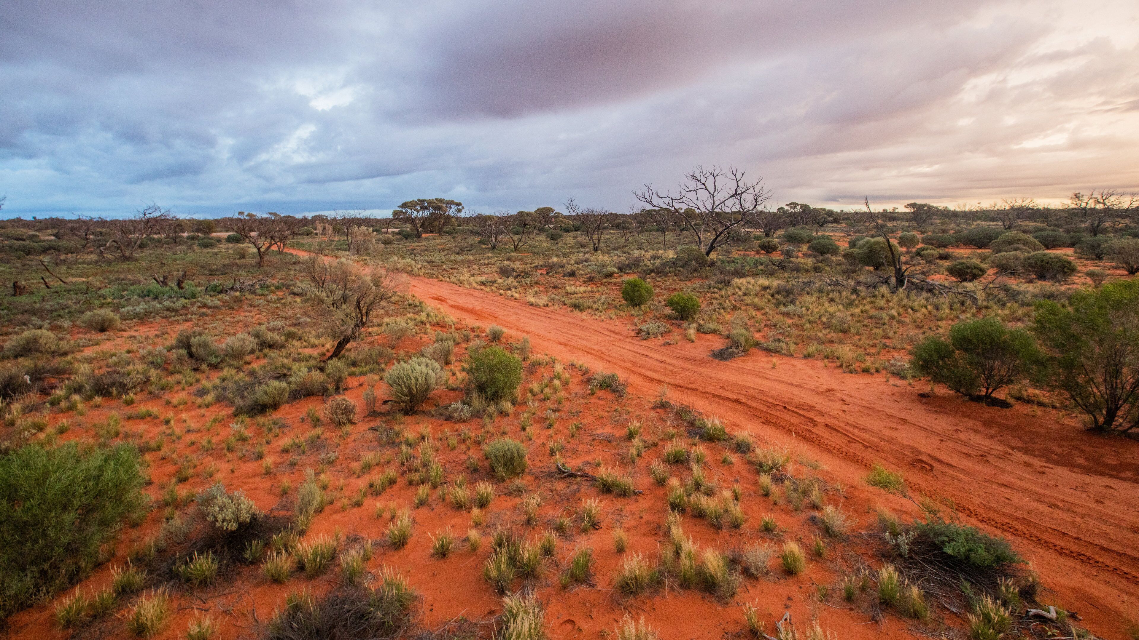 Roxby Downs featuring desert views and tranquil scenes
