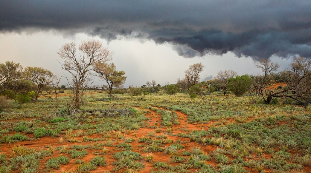 Roxby Downs featuring desert views and tranquil scenes