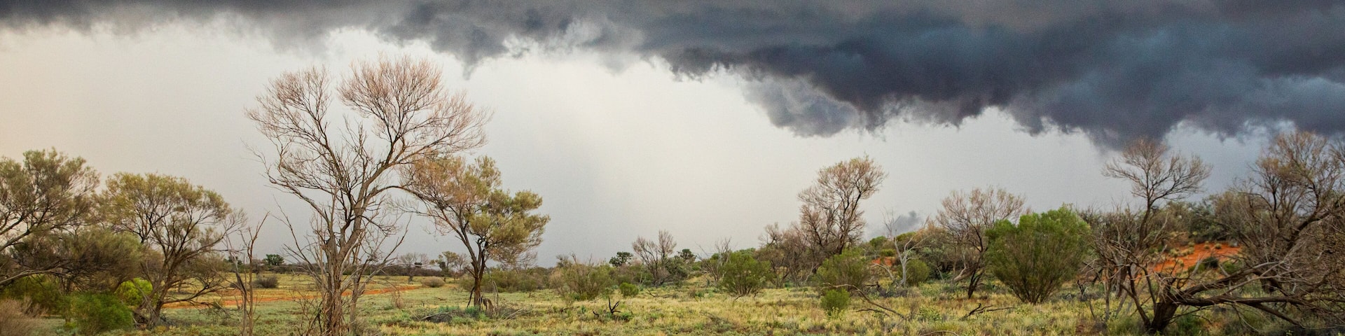 Roxby Downs featuring desert views and tranquil scenes