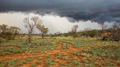 Roxby Downs featuring desert views and tranquil scenes