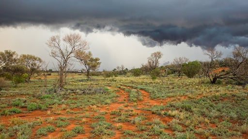 Roxby Downs featuring desert views and tranquil scenes