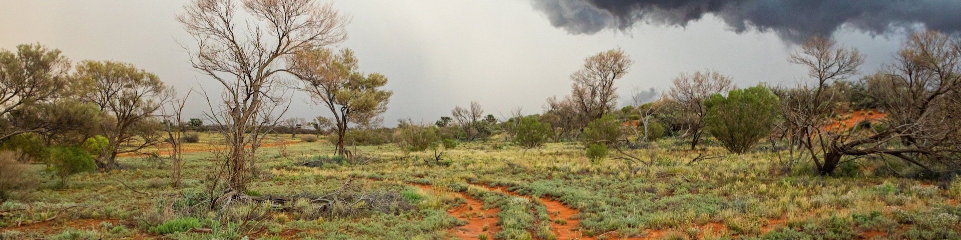 Roxby Downs featuring desert views and tranquil scenes