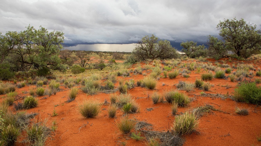 Roxby Downs showing tranquil scenes and desert views