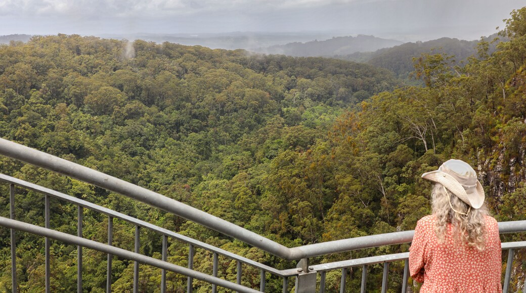 A woman, on a round-the-world adventure tour, stands on the Minyon Falls lookout in Nightcap National Park near Alstonville, NSW, Australia. The park is home to a World Heritage-listed rain forest.