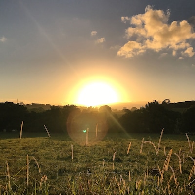 Sunnyside up Pearces Creek Rifle Range loop. Last Australia run of the year. #pearcescreek #riflerangeroad #alstonville #northcoast #sunrise #lifeatexpedia