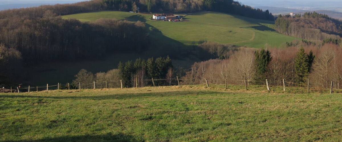 Stellberg (727 m) near Wolferts in der Rhön Mountains, see notes for further information.
